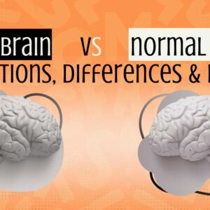 ADHD Brain vs Normal Brain