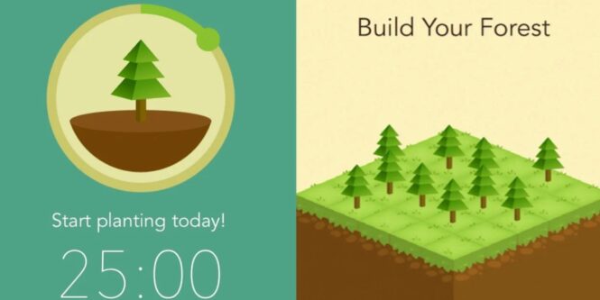 best apps to build executive function skills best apps to build executive function skills