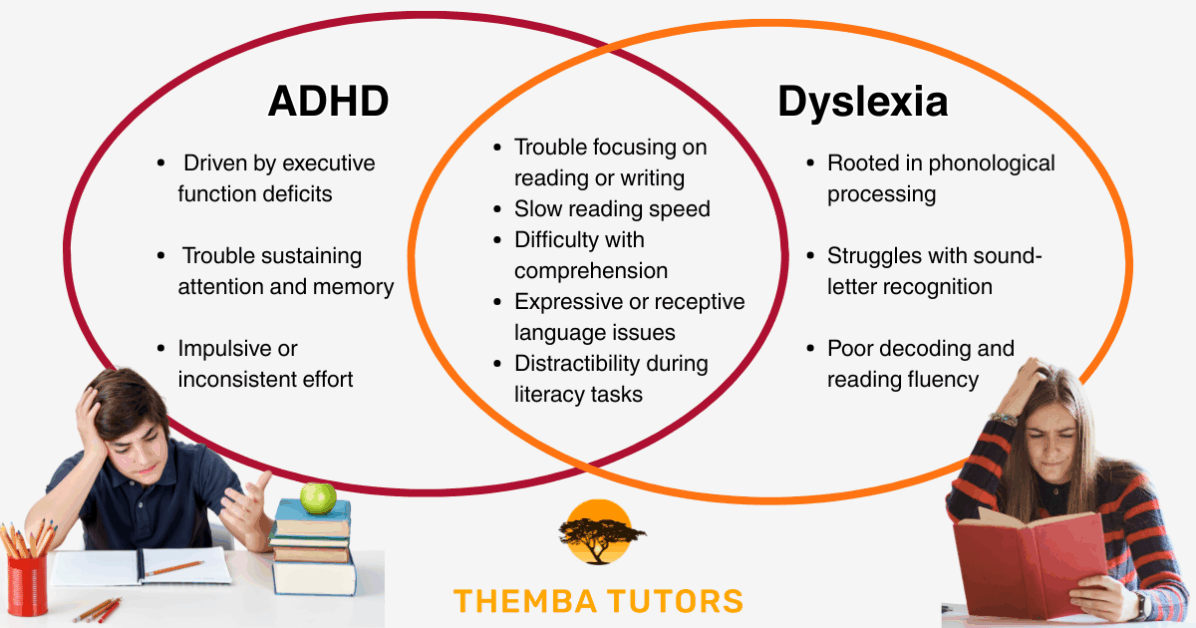 ADHD and Dyslexia Overlap: 3 Critical Truths for Parents