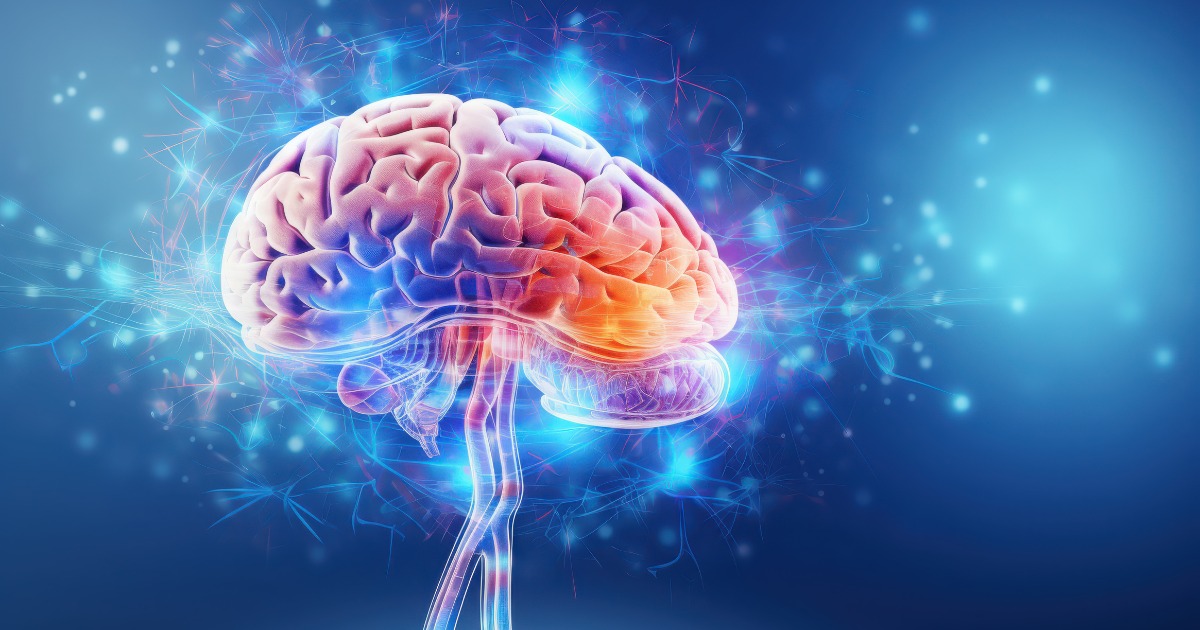 The Brain Science of Attention The Brain Science of Attention