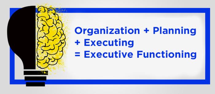 executive-functioning-nyc-2 executive-functioning-nyc-2